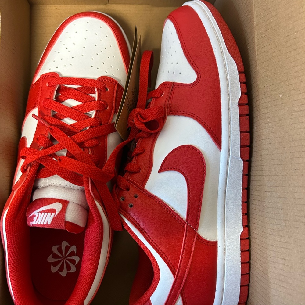 Nike Dunk Low Next Nature University Red